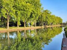 Balade en bord de canal à Montech, au cœur d’un environnement naturel préservé.